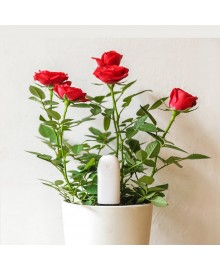 Датчик для растений Xiaomi Flower monitor International, flora monitor